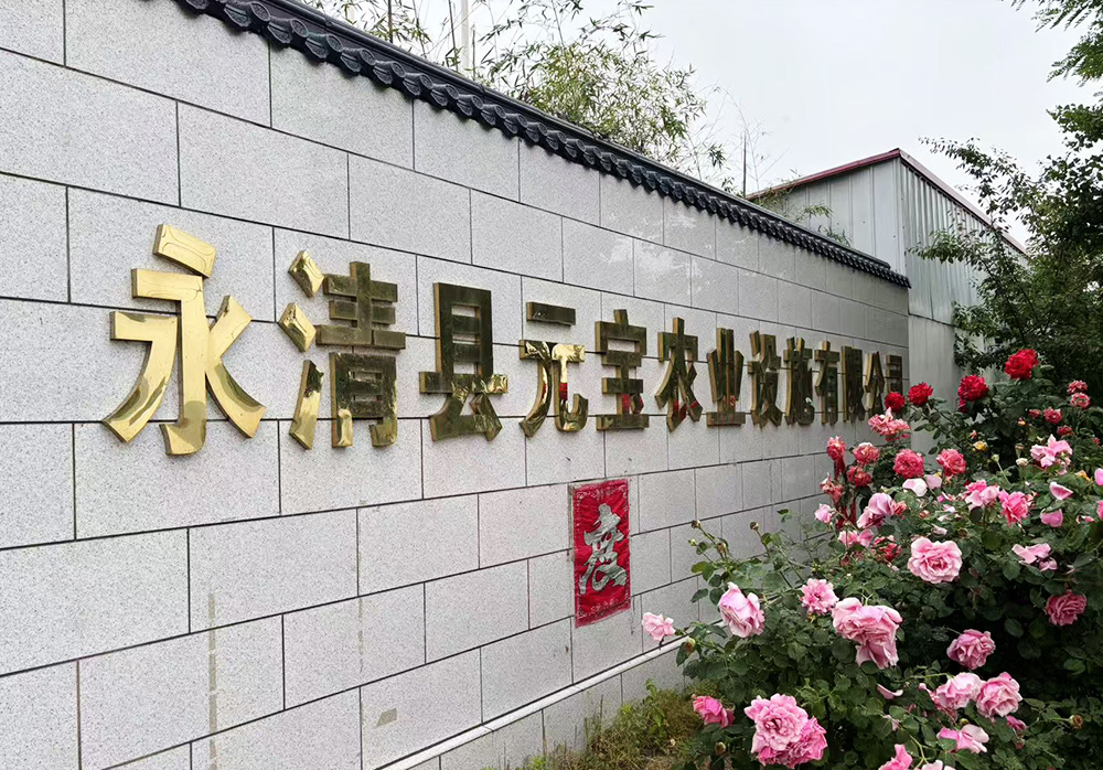 Company Profile