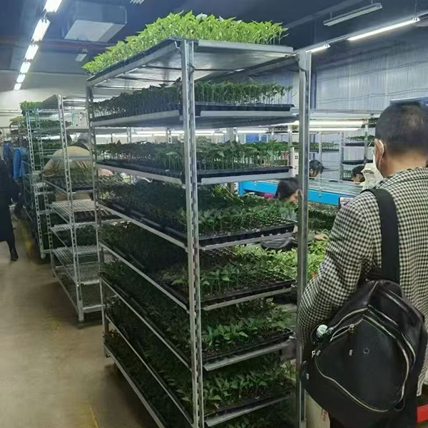 Nursery cart